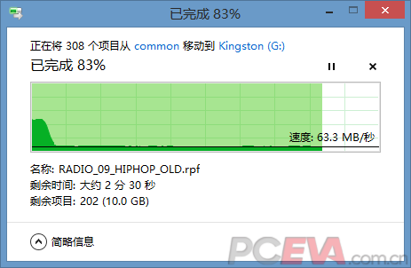 Sandisk-V300.png