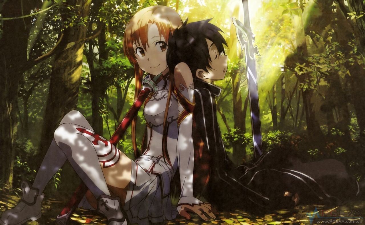 刀剑神域sao壁纸73张dvd封面打包下载