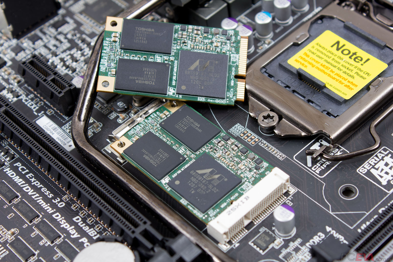 浦科特msatassdm5m评测