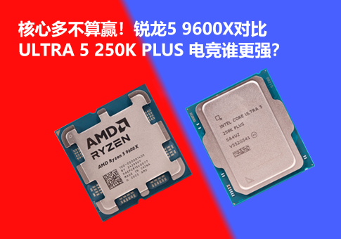 锐龙5 9600X对比Ultra 5 250K Plus