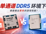 单条内存装机，锐龙5 9600X和Ultra 5 250K Plus怎么选？